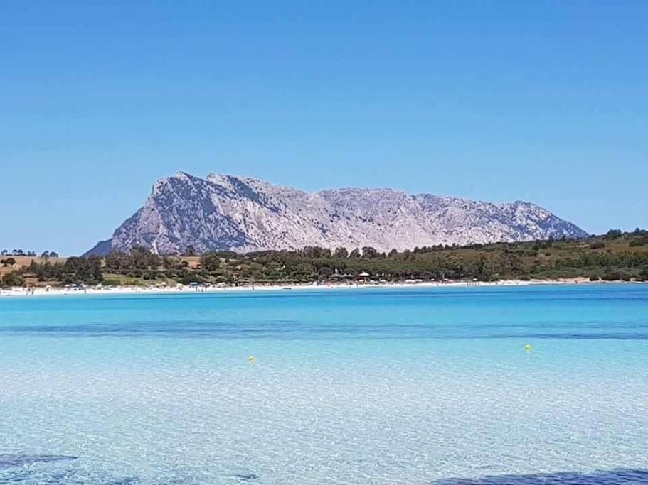 Amazing House 10 Min By Car From The Beach Olbia Exterior photo